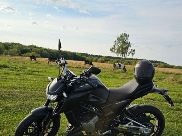 2023 Regulmoto Alien Monster, чёрный, 340000 рублей - вид 1