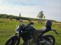 2023 Regulmoto Alien Monster, чёрный, 340000 рублей - вид 1
