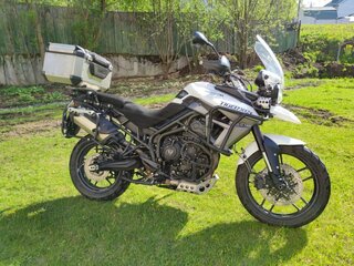 2017 Triumph Tiger 800, белый, 910000 рублей, вид 3