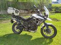 2017 Triumph Tiger 800, белый, 910000 рублей - вид 2