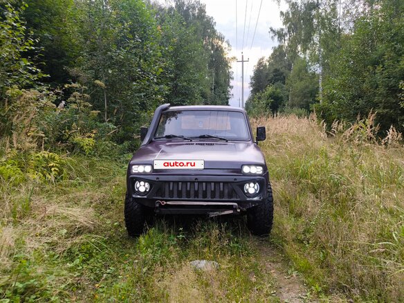 2002 Lada (ВАЗ) 2121 (4x4) I Рестайлинг, фиолетовый - вид 1