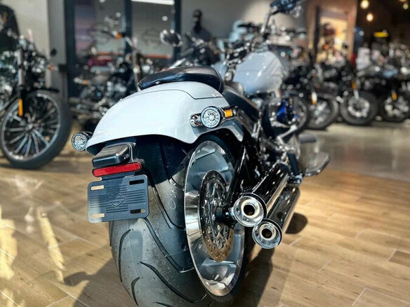 2025 Harley-Davidson Fat Boy, серебристый, 3850000 рублей - вид 8
