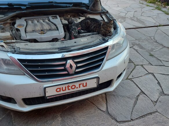 2011 Renault Latitude I, белый, 850000 рублей - вид 1