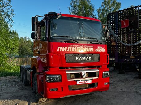 2019 КамАЗ 65206, красный, 3000000 рублей, вид 5