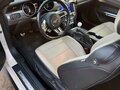 2020 Ford Mustang VI Рестайлинг, бежевый, 4099999 рублей - вид 7