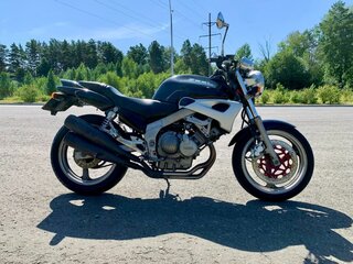 Yamaha FZX250 Zeal