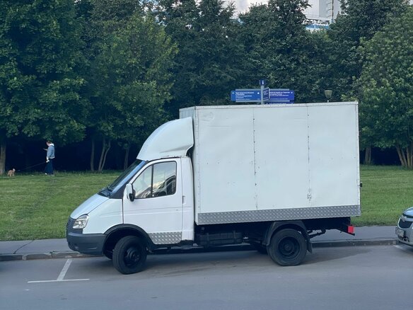 2006 ГАЗ ГАЗель (3302), белый, 432000 рублей - вид 9