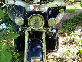 2005 Harley-Davidson Electra Glide Revival, синий, 720000 рублей, вид 1