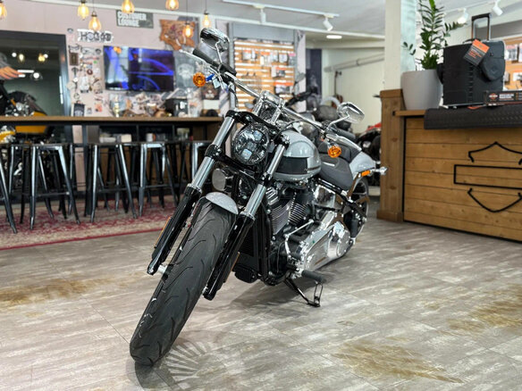 2024 Harley-Davidson Breakout, серебристый, 3300000 рублей - вид 6