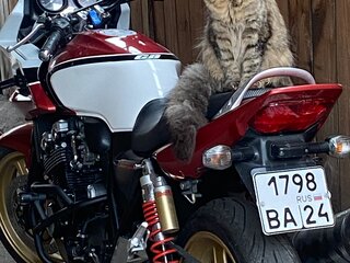 2007 Honda CB 400 Super Four, красный, 400000 рублей, вид 2