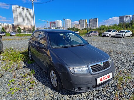 2006 Skoda Fabia I Рестайлинг, серый, вид 3