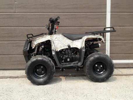 2025 Motoland ATV 110 Rider, бежевый, 86700 рублей, вид 5