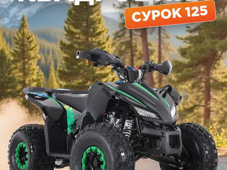 2025 Другие ATV (другие), синий, 135000 рублей, вид 1