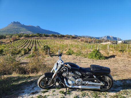 2015 Harley-Davidson V-Rod, чёрный, 1950000 рублей, вид 1