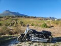 2015 Harley-Davidson V-Rod, чёрный, 1950000 рублей