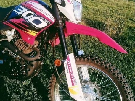 2023 Racer Panther, пурпурный, 135000 рублей, вид 4