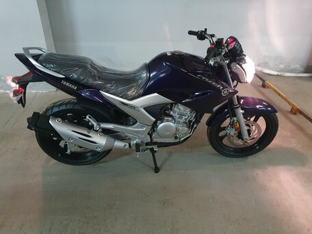 2019 Yamaha YS250 Fazer, фиолетовый, 350000 рублей, вид 5