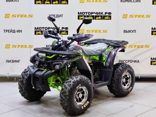2025 Motoland Wild 125, серый, 99000 рублей, вид 1