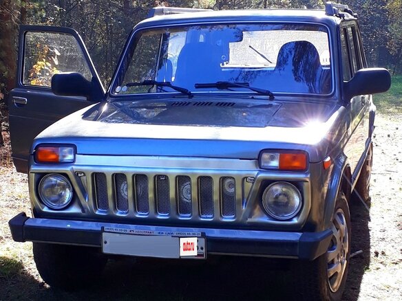 2013 Lada (ВАЗ) 2131 (4x4) 213105 I, серый