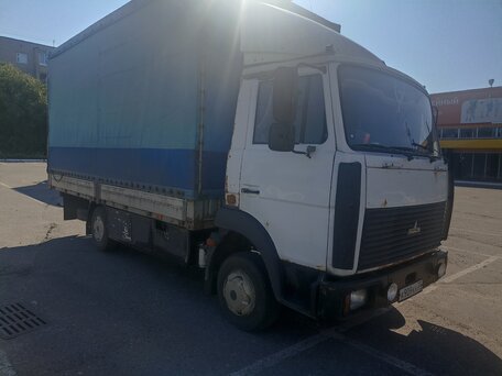 2008 МАЗ 4370, белый, 700000 рублей, вид 5