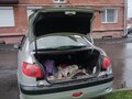 2007 Peugeot 206, серебристый, 290000 рублей - вид 9