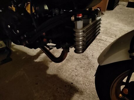 2014 Honda MSX125 Grom, белый, 300000 рублей, вид 2