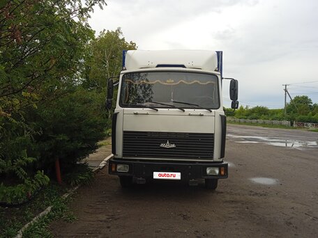2006 МАЗ 4370, белый, 950000 рублей, вид 3
