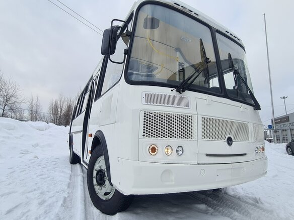 2022 ПАЗ 4234, белый - вид 13