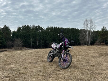 2024 Regulmoto Sport 003, чёрный, 140000 рублей, вид 5