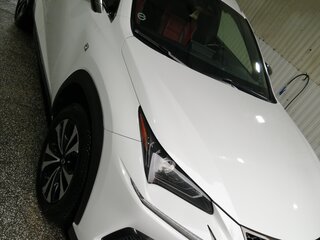 2019 Lexus NX 300 I Рестайлинг, белый, 4111000 рублей, вид 3