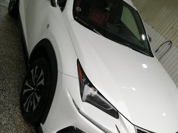 2019 Lexus NX 300 I Рестайлинг, белый, 4111000 рублей - вид 2