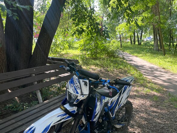2025 Progasi Super Max 250, синий, 130000 рублей - вид 4