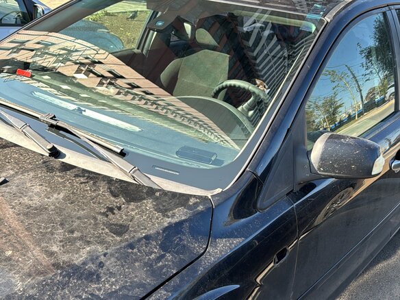 2006 Ford Focus II, чёрный, 395000 рублей - вид 11