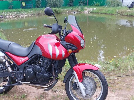 2002 Triumph Tiger 955i, пурпурный, 375000 рублей, вид 2