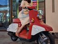 1999 Honda Julio, красный, 110000 рублей