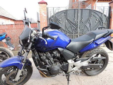 2006 Honda CBF 600, синий, 595588 рублей, вид 3