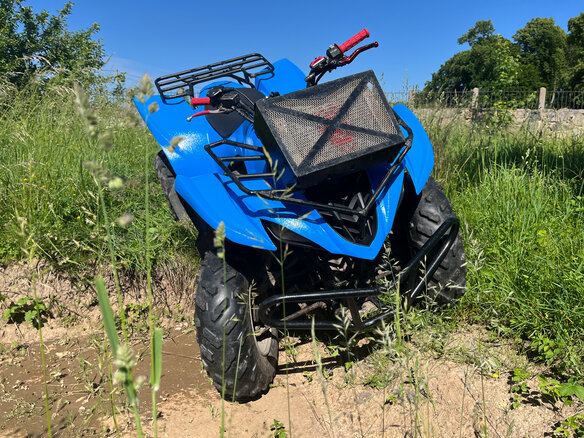 2006 Yamaha Wolverine YFM450, синий, 410000 рублей - вид 4