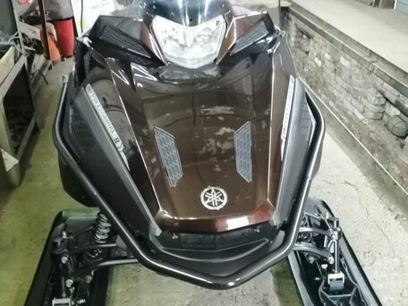 2021 Yamaha VK Professional, коричневый, 3000000 рублей, вид 2