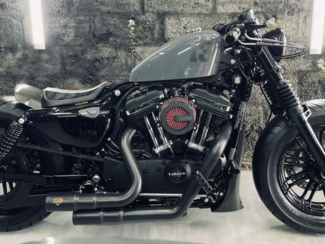 2018 Harley-Davidson Sportster 1200, серый, 1750000 рублей, вид 1