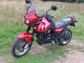 2002 Triumph Tiger 955i, пурпурный, 320000 рублей - вид 3