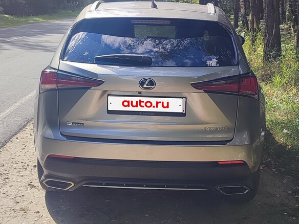 2019 Lexus NX 300 I Рестайлинг, серый, 3200000 рублей - вид 2