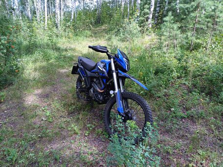 2023 Racer Ranger, синий, 154000 рублей, вид 2