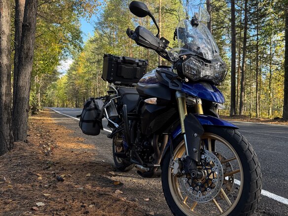 2012 Triumph Tiger 800, синий, 550000 рублей - вид 5