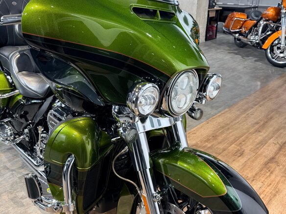2017 Harley-Davidson CVO Limited, зелёный, 2299000 рублей - вид 12