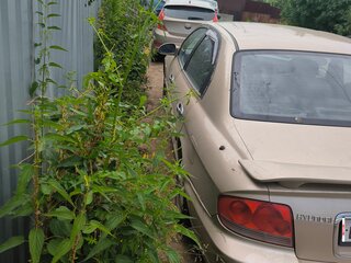 2005 Hyundai Sonata IV (EF) Рестайлинг, бежевый, 150000 рублей, вид 3