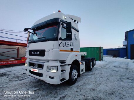 2019 КамАЗ 65209, белый, 2500000 рублей, вид 2