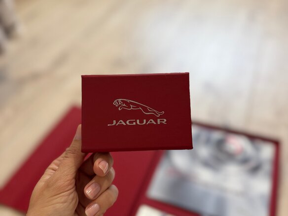 2017 Jaguar F-Pace I, красный, 2349000 рублей - вид 32