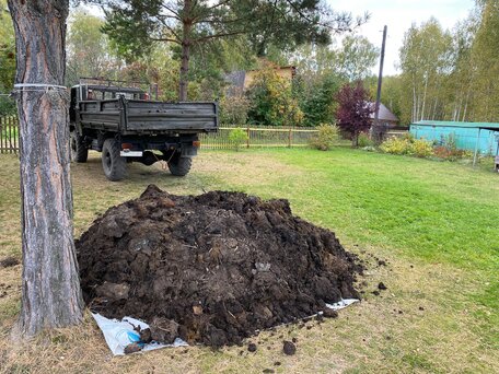 1993 ГАЗ 66, зелёный, 700000 рублей, вид 2