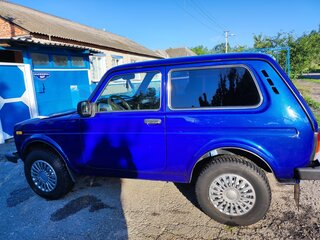 2016 Lada (ВАЗ) 2121 (4x4) I Рестайлинг, серый, 1000000 рублей, вид 4
