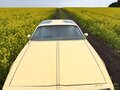 1980 Pontiac Firebird II, жёлтый - вид 11